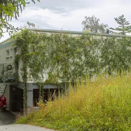 Am Seerosenweiher Apartment *