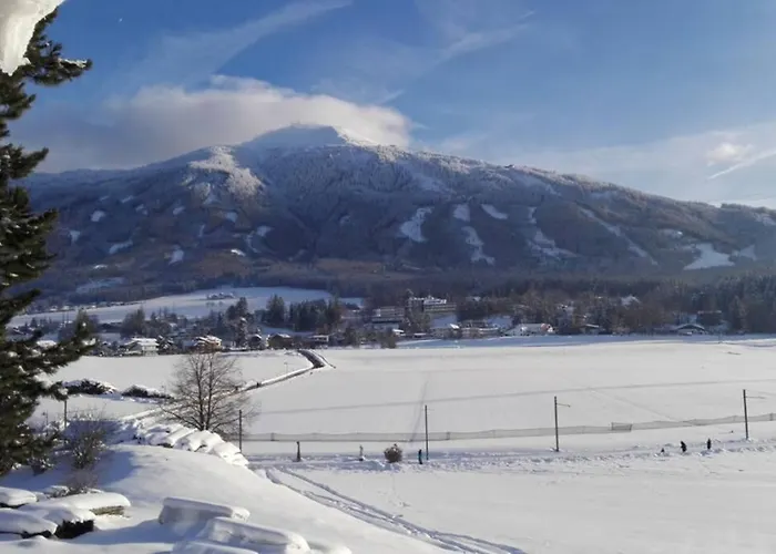 Am Seerosenweiher Innsbruck
